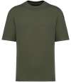 NS308 Native Spirit Unisex French Terry T-Shirt Khaki colour image